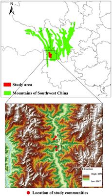 Collective forest tenure reform and forest conditions: evidence from the social-ecological system in Southwest China